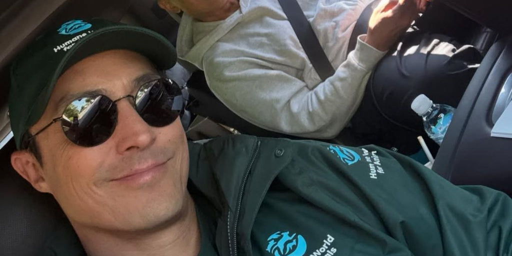 Ray-Ban Jack RB 3565 002/48 Polarised - As Seen On Daniel Henney