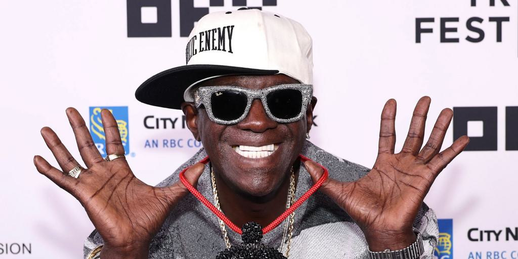 Ray-Ban Wayfarer Puffer Crystal Pav猫 Edition RB 4940BP 6865/87 - As Seen On Flavor Flav