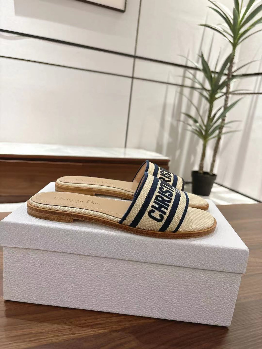 DIOR DWAY SLIDES IN BEIGE AND NAVY BLUE TECHNICAL FABRIC