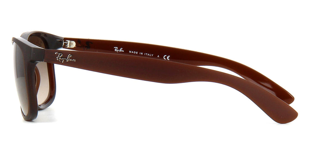 Ray-Ban Andy 4202 6073/13