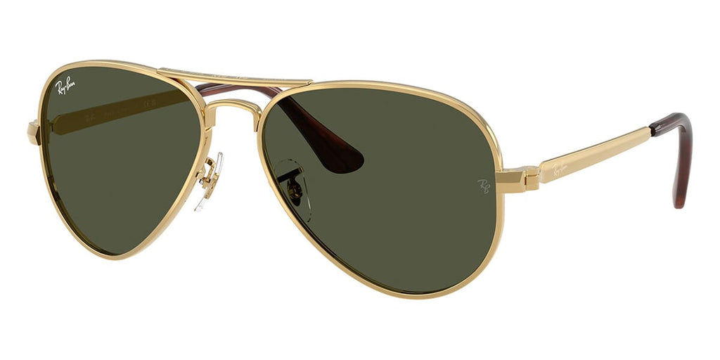 Ray-Ban Aviator Max RB 3925 001/31