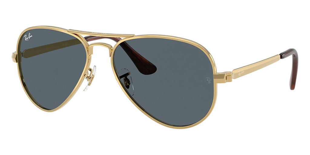 Ray-Ban Aviator Max RB 3925 001/R5