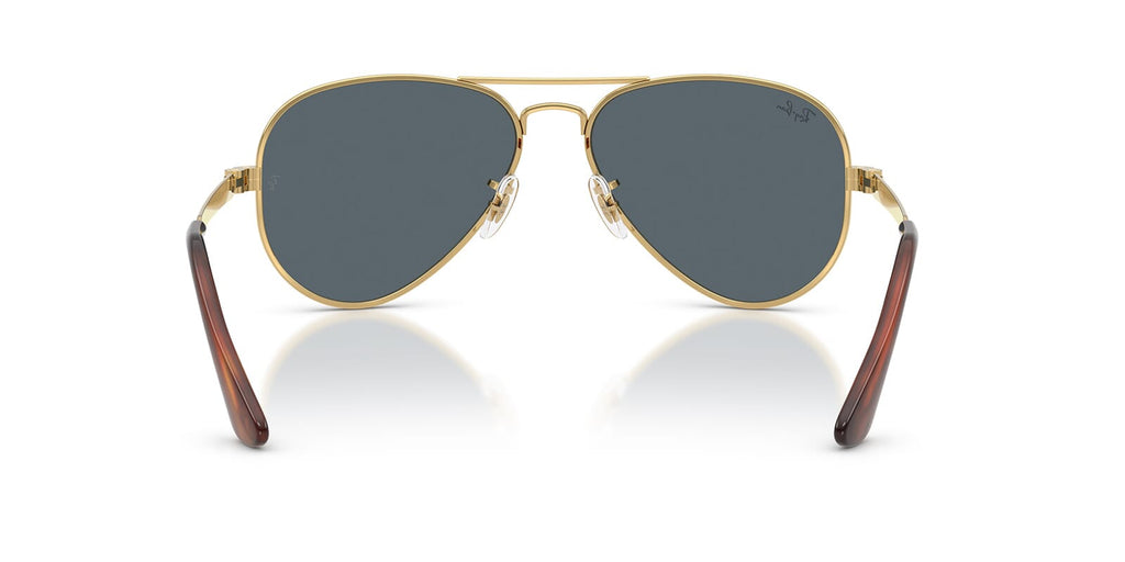Ray-Ban Aviator Max RB 3925 001/R5
