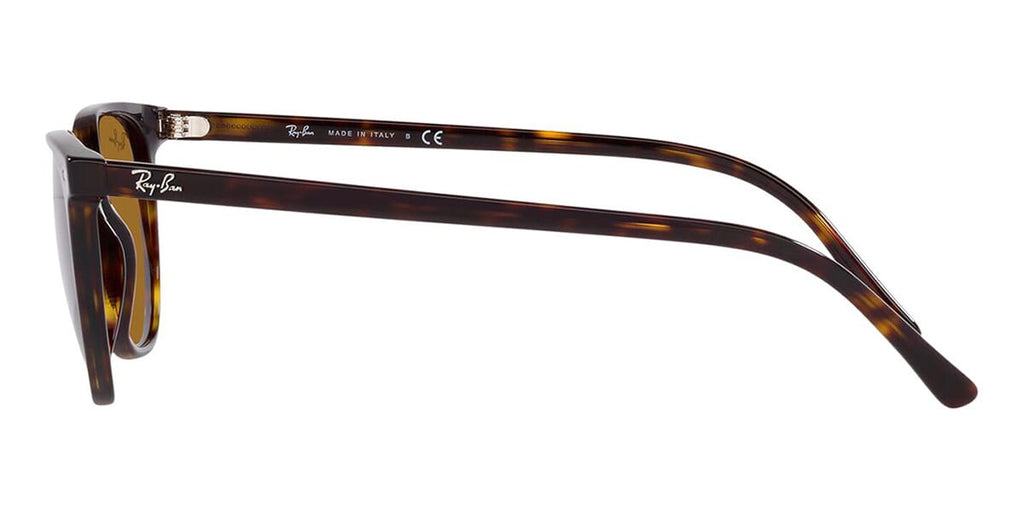 Ray-Ban Elliot RB 2197 902/33