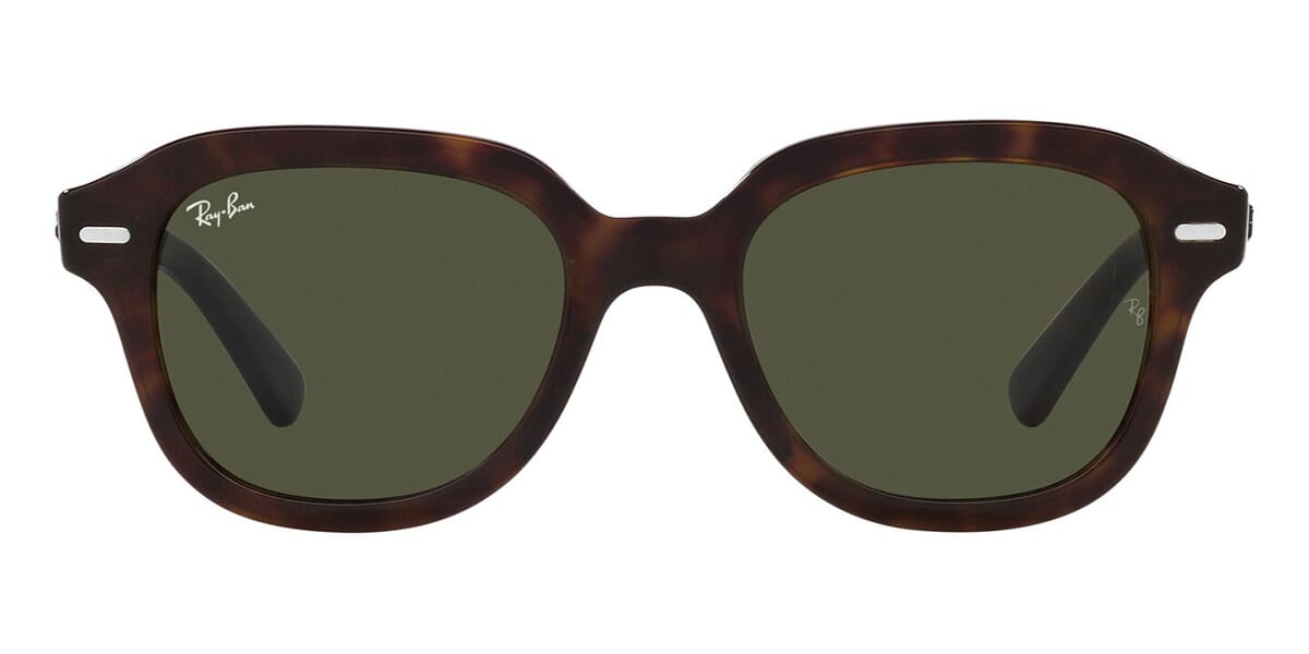 Ray-Ban Erik RB 4398 902/31