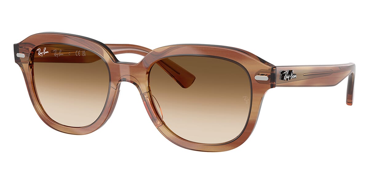 Ray-Ban Erik RB 4398 1403/51