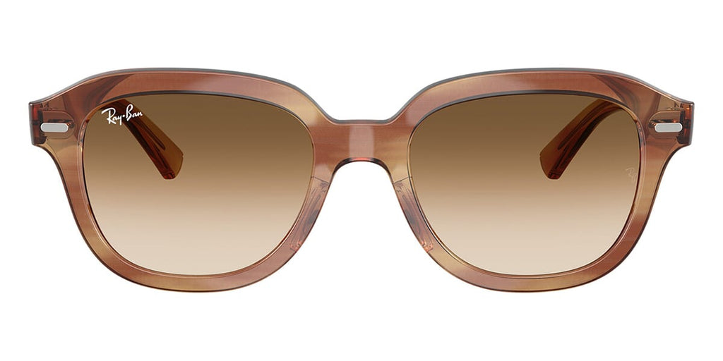 Ray-Ban Erik RB 4398 1403/51