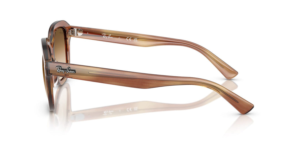 Ray-Ban Erik RB 4398 1403/51