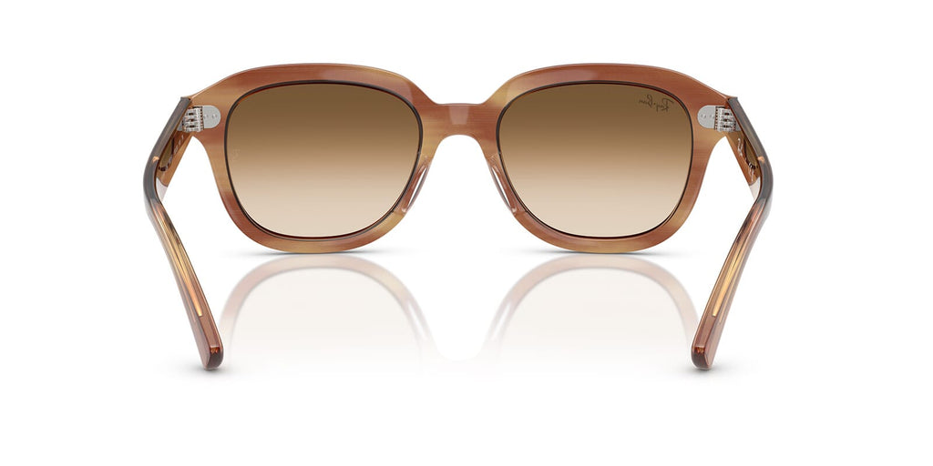 Ray-Ban Erik RB 4398 1403/51