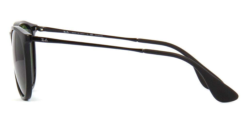 Ray-Ban Erika RB 4171 601/2P Polarised - As Seen On Penn Badgley & Calum Hood