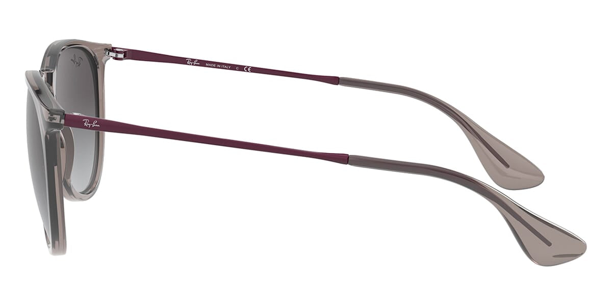 Ray-Ban Erika RB 4171 6513/8G