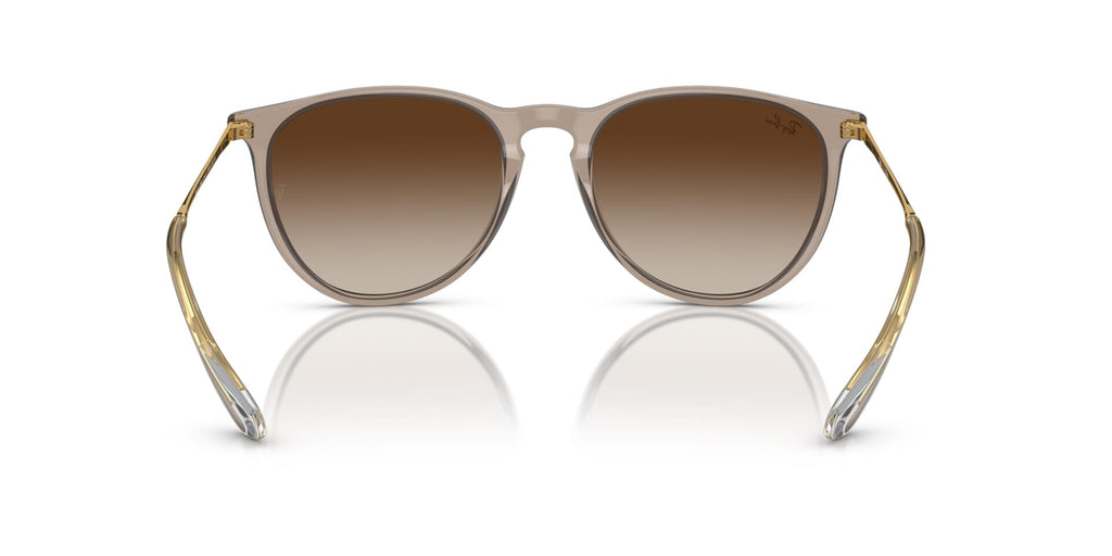 Ray-Ban Erika RB 4171 6744/13