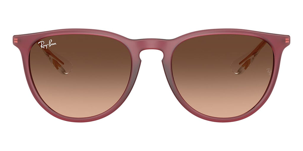 Ray-Ban Erika RB 4171 6815/A5
