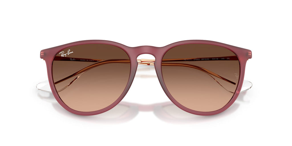 Ray-Ban Erika RB 4171 6815/A5