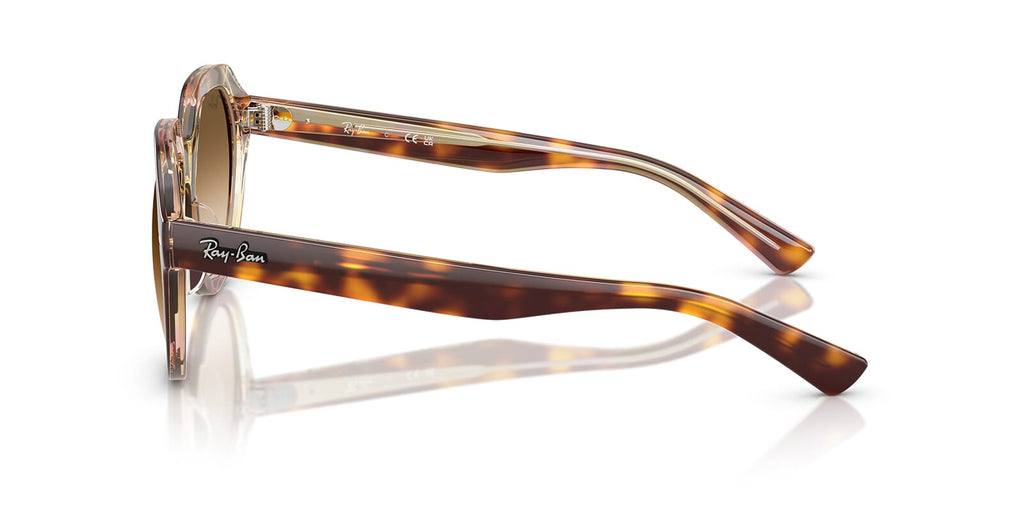 Ray-Ban Gina RB 4399 1414/51
