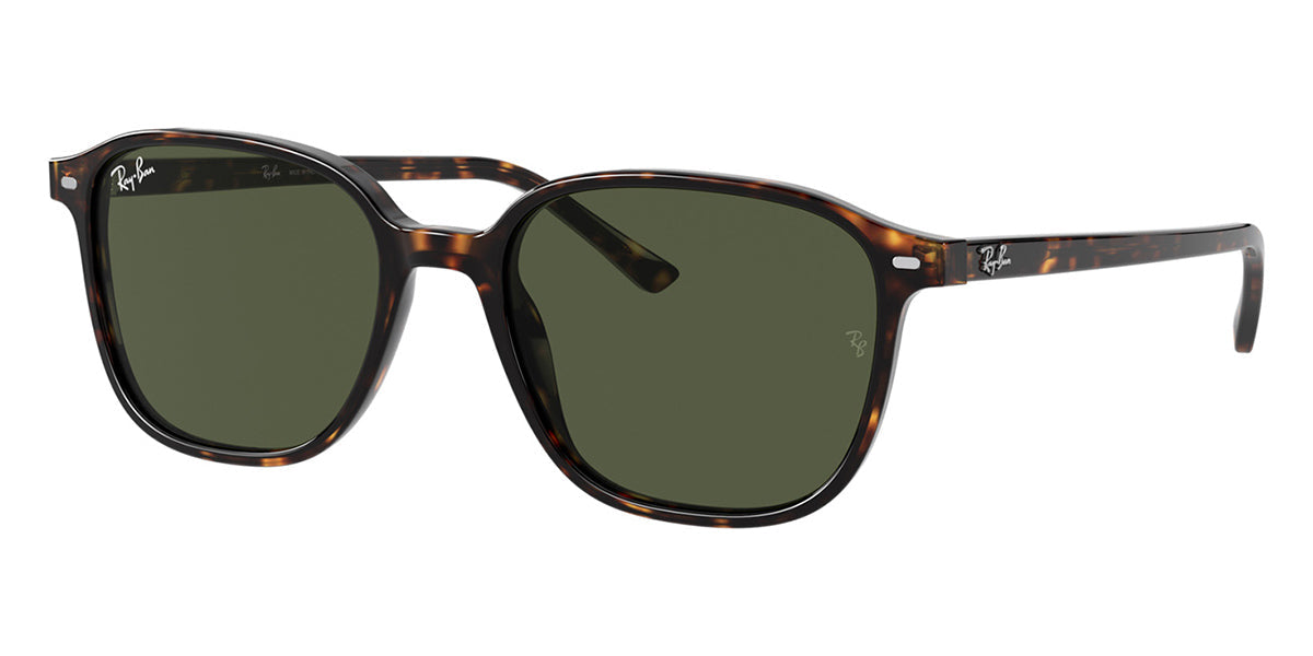 Ray-Ban Leonard RB 2193 902/31