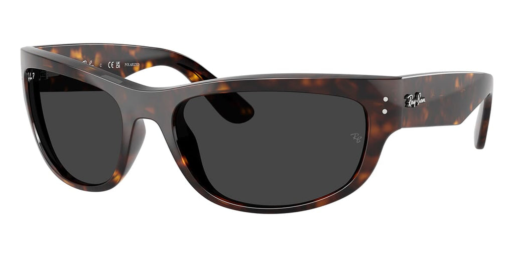 Ray-Ban Mega Balorama RB 2289 902/48 Polarised