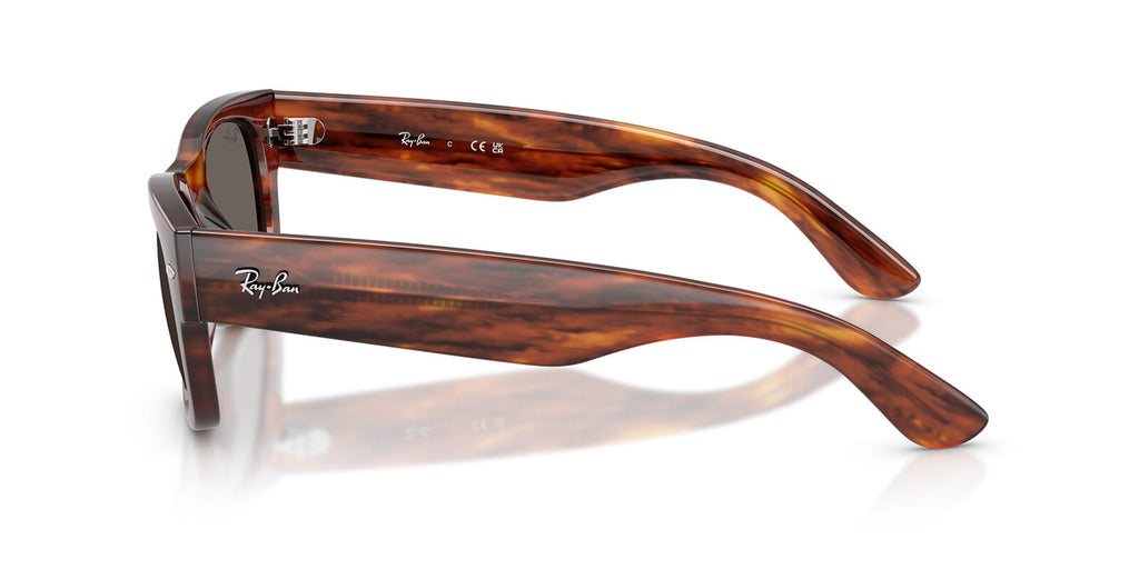 Ray-Ban Mega Wayfarer II RB 0832S 954/B1