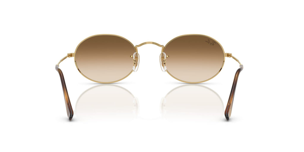 Ray-Ban Oval RB 3547 001/51