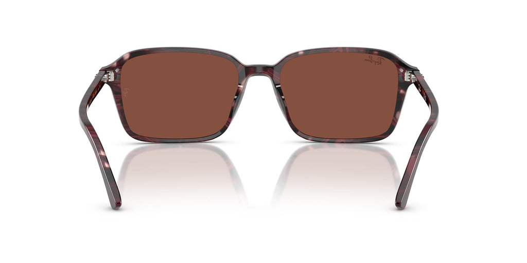Ray-Ban Raimond RB 2231 1416/C5