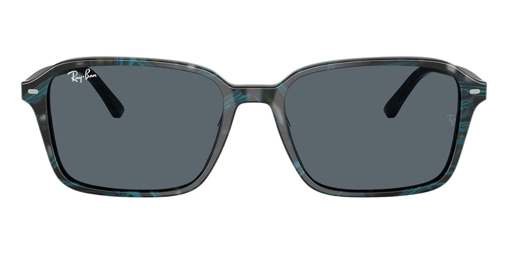 Ray-Ban Raimond RB 2231 1417/R5