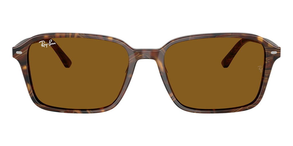 Ray-Ban Raimond RB 2231 1418/33 - As Seen On Alex Warren