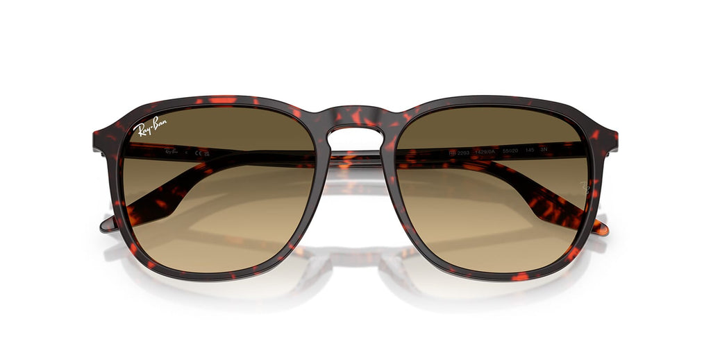 Ray-Ban RB 2203 1429/0A