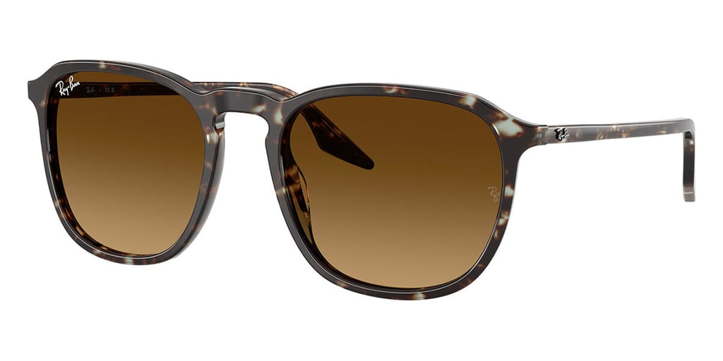 Ray-Ban RB 2203 1431/85