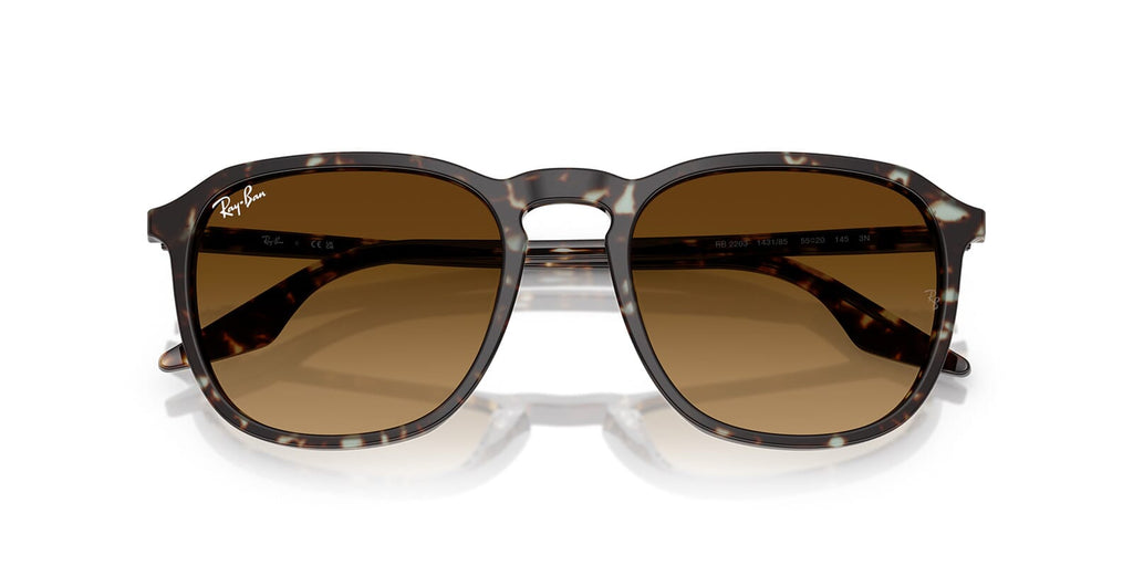 Ray-Ban RB 2203 1431/85