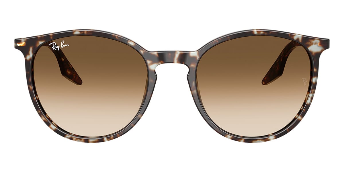Ray-Ban RB 2204 1431/51