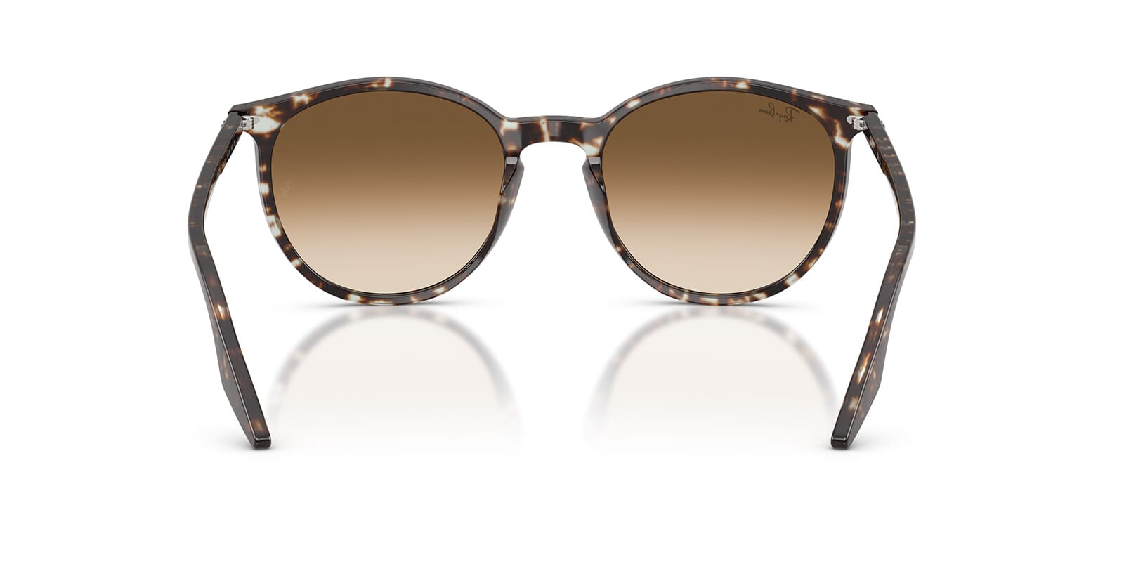 Ray-Ban RB 2204 1431/51