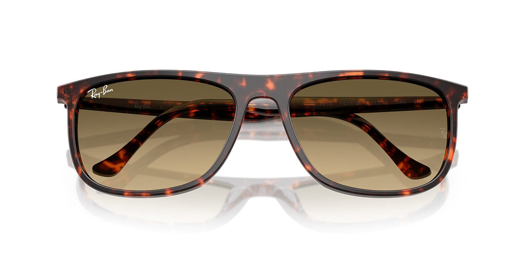 Ray-Ban RB 2216 1429/0A