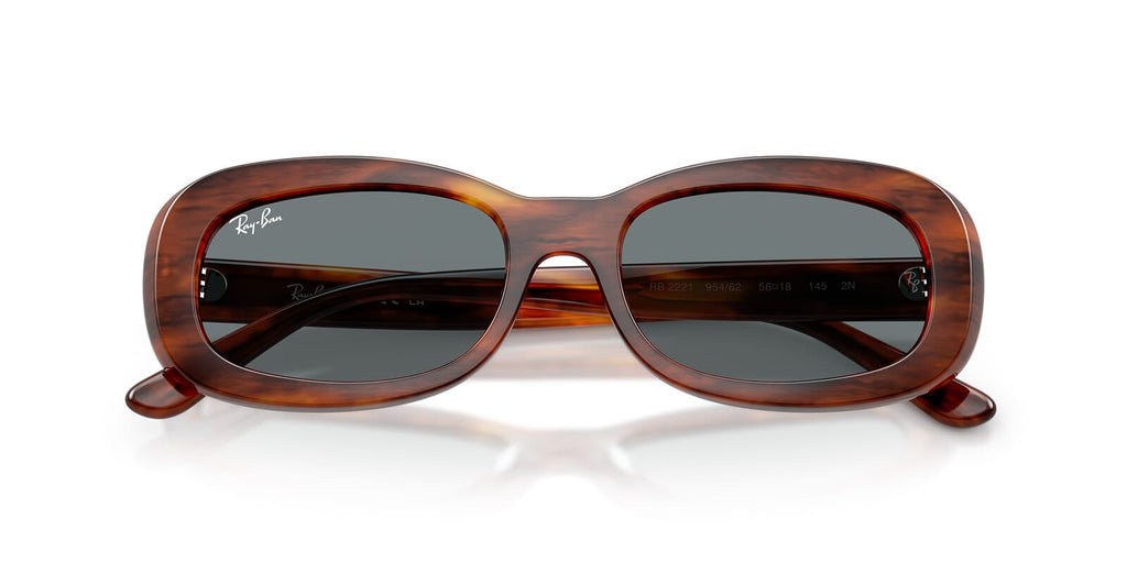 Ray-Ban RB 2221 954/62