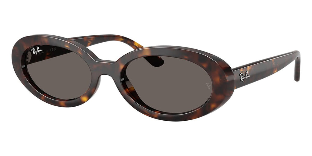 Ray-Ban RB 2223 902/B1