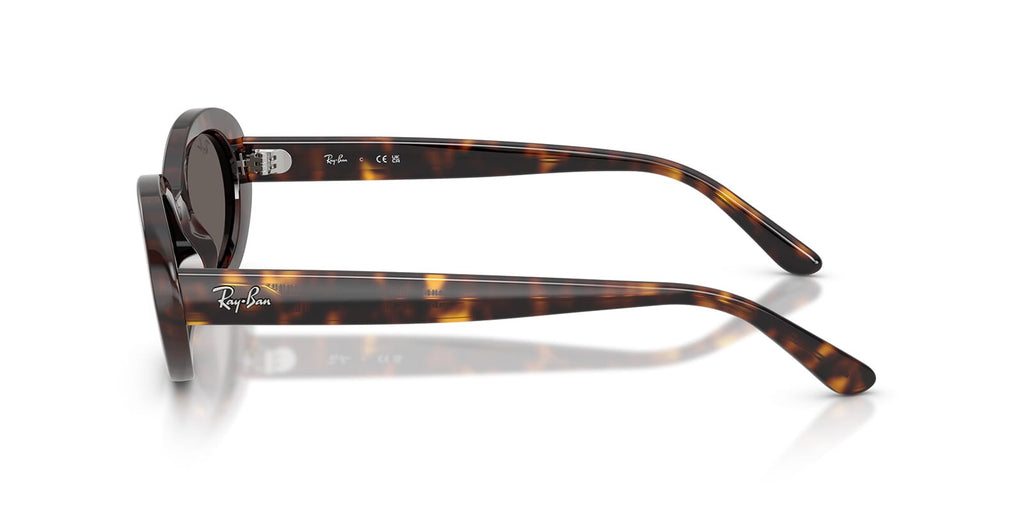 Ray-Ban RB 2223 902/B1