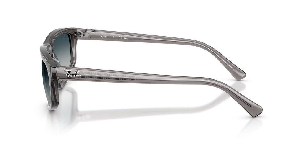 Ray-Ban RB 2225 667532
