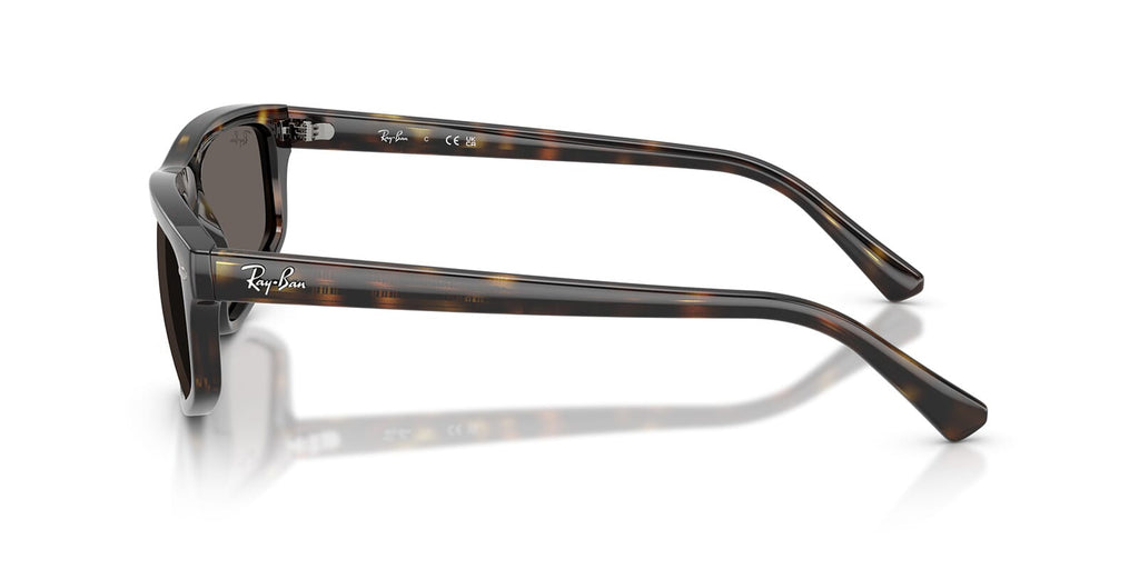 Ray-Ban RB 2225 710/B1