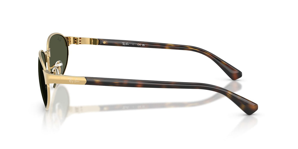 Ray-Ban RB 3777 001/31