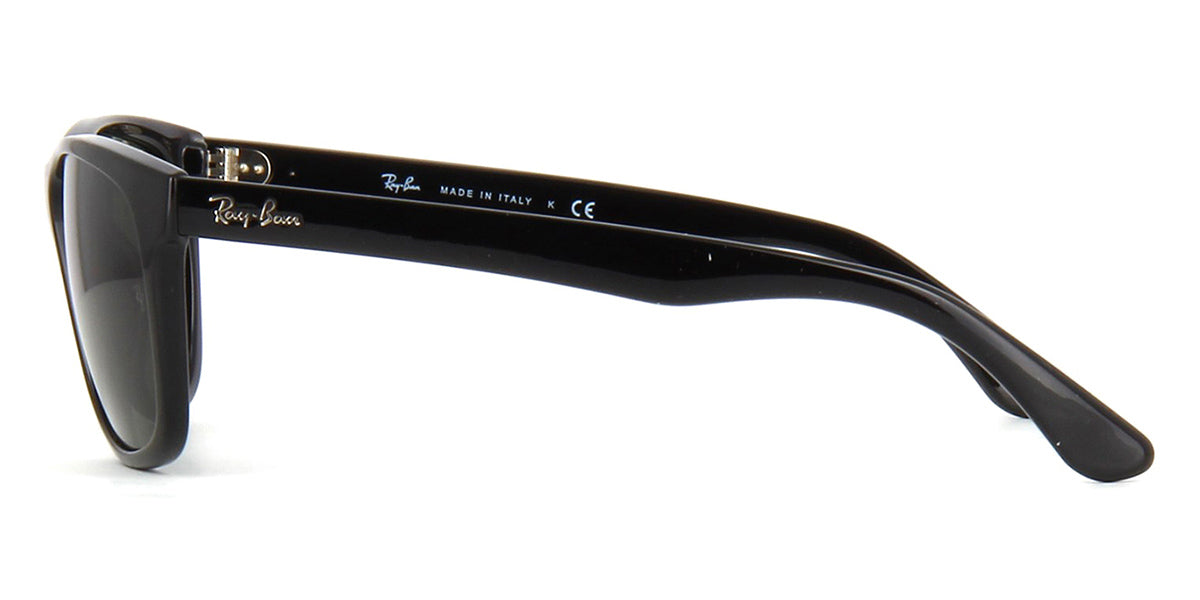 Ray-Ban RB 4181 601 - As Seen On Xzibit & Kim Basinger