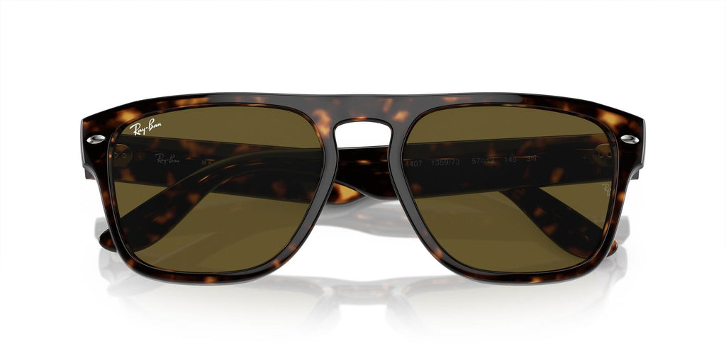Ray-Ban RB 4407 1359/73