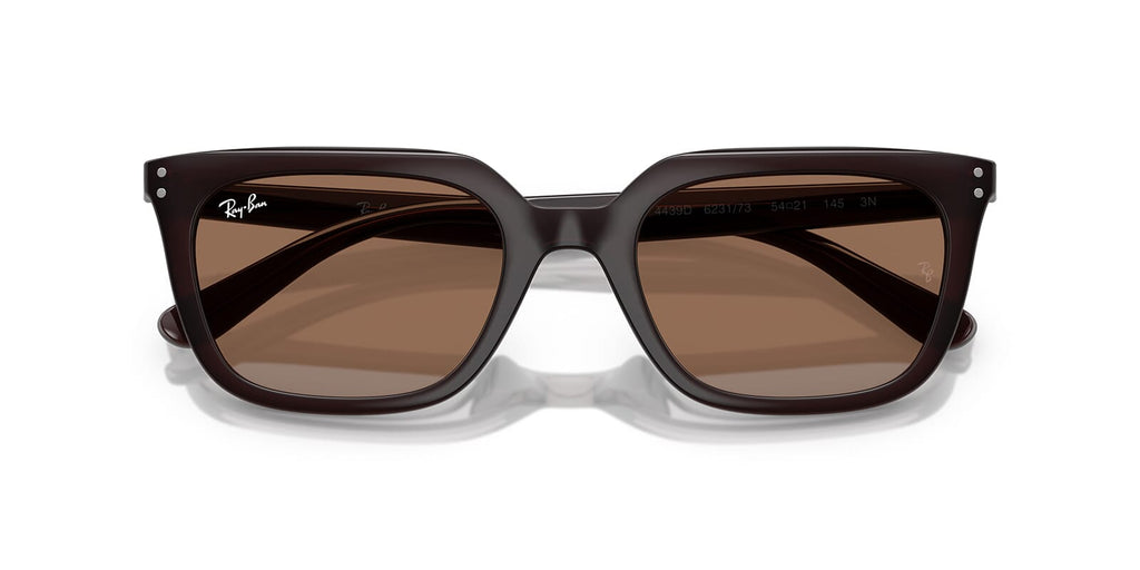 Ray-Ban RB 4439D 6231/73