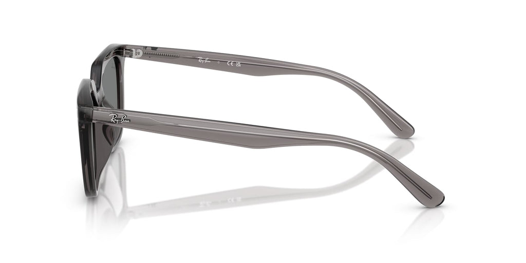 Ray-Ban RB 4439D 6675/87