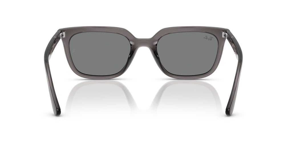 Ray-Ban RB 4439D 6675/87