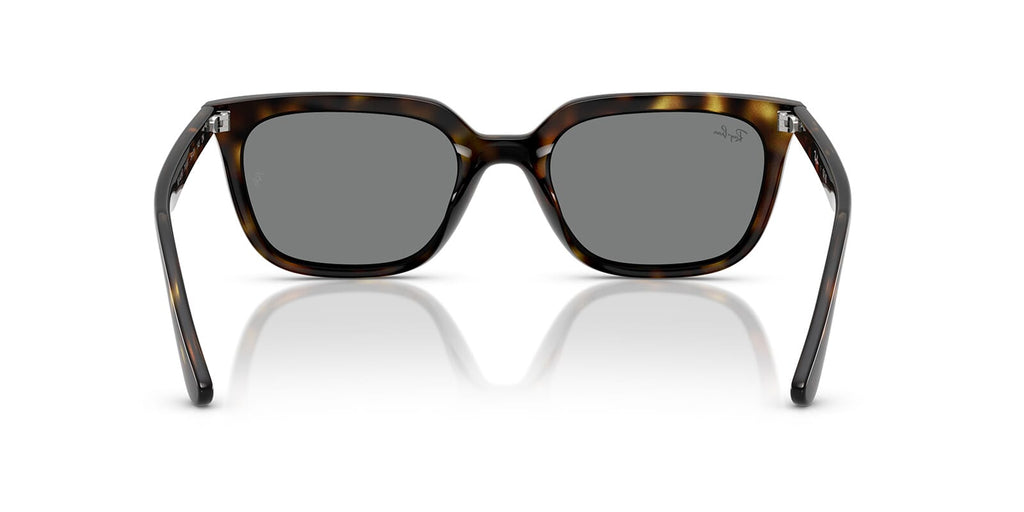 Ray-Ban RB 4439D 710/87