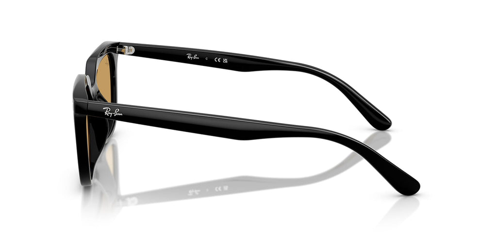 Ray-Ban RB 4439D 901/73
