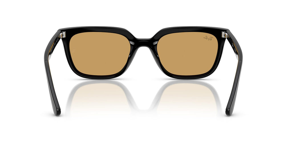 Ray-Ban RB 4439D 901/73