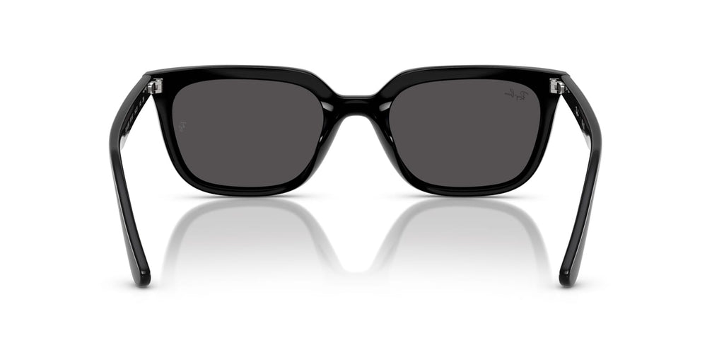 Ray-Ban RB 4439D 901/87 - As Seen On Filip Lamprecht
