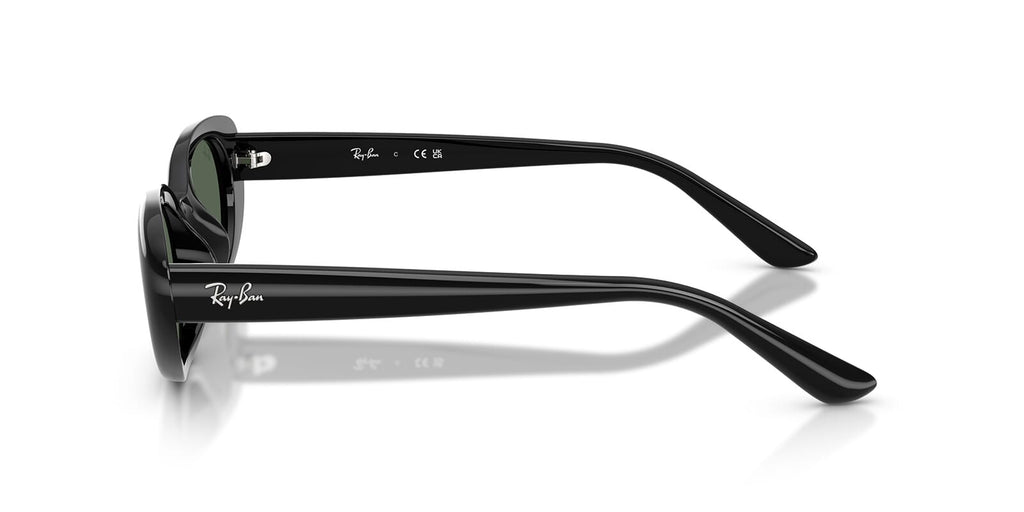 Ray-Ban RB 4441D 6677/71