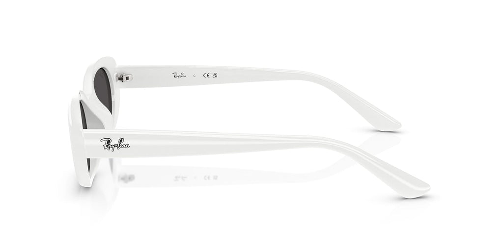 Ray-Ban RB 4441D 6772/87