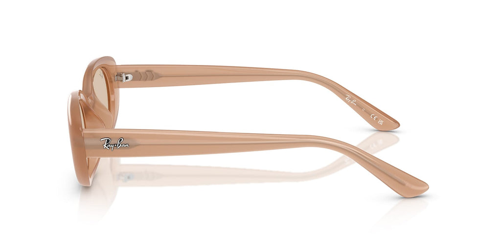 Ray-Ban RB 4441D 6787/93
